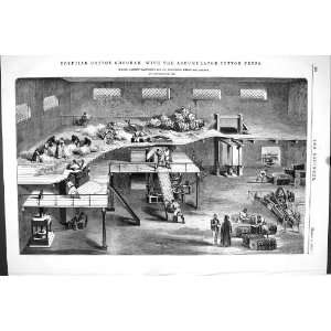  1870 EGYPTIAN COTTON SHOONAH ACCUMULATOR COTTON PRESS 
