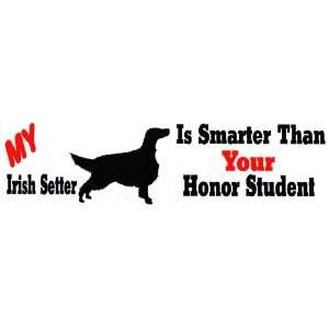    My Irish Setter is smarter than your honor student 