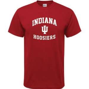  Indiana Hoosiers Cardinal Aptitude T Shirt: Sports 
