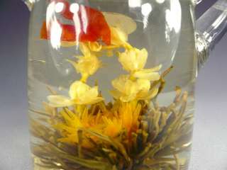 Glass Teapot + Warmer + 12 Blooming Flowering Tea B  