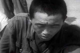 Korean War Graphic Footage Documentary w/ Racism on DVD  
