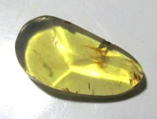 FACETED DOMINICAN CRYSTAL CLEAR SKY BLUE AMBER CABOCHON 21mm  