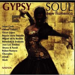 Gypsy Soul,New Flamenco Various  Musik