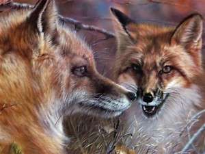 Foxfire Fox Vivi Crandall Signed Wildlife Art AP  