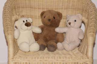 Teddybären zwischen ca. 30 und ca. 25 cm groß in Dresden   Dresden 