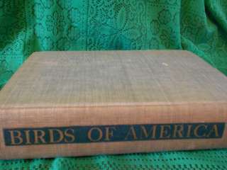 Antique Book  Birds of America  Many Prints by Louis Agassiz Fuertes 