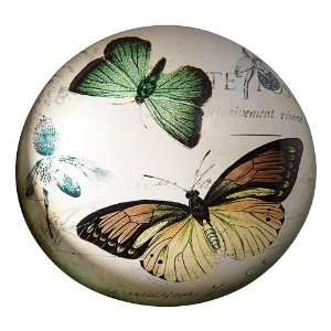  Antique Butterfly Illustration Print Paperweight