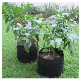 New Smart Pots for Container Gardening Cloth   5 Gallon  
