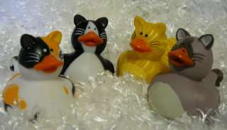   CAT RUBBER DUCKS Tabby Calico Black White Party Favors Kids Bath Toys
