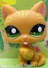 BN LITTLEST PET SHOP SASSIEST Calico Kitty Cat 832  
