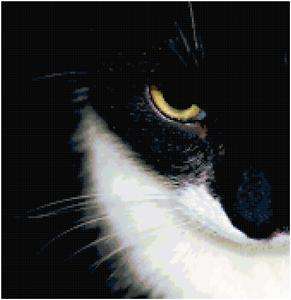 Black White Cat Eye Counted Cross Stitch Pattern Chart  