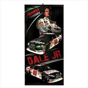 Dale Earnhardt Jr. Nascar Banner