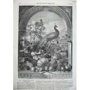  1855 Harold George Lance Peacock Bird Fruit Fine Art: Home 