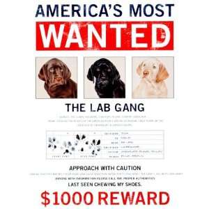  Wanted   The Lab Gang Metal Tin Sign 12.5W x 16H: Home 