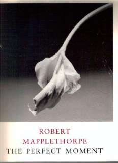 Robert Mapplethorpe The Perfect Moment by Robert Mapplethorpe, Janet 