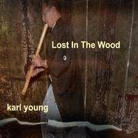 CENT CD Karl Young Lost In The Wood shakuhachi 2011 SEALED  