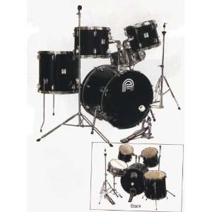  PP2500 Drum Set Only Musical Instruments