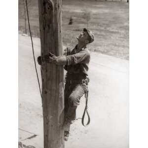  Utility Worker Man is Climbing Electric Power Utilities Pole 