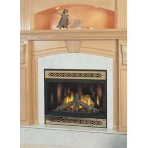   Direct Vent Fireplace Natural Gas Remote Ready Black