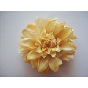    Cream Yellow Dahlia Flower Hair Clip and Pin Back Brooch: Beauty