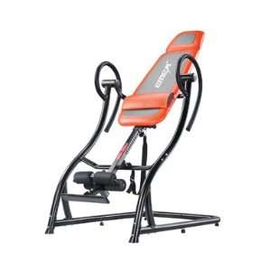    FitPro 2010 Deluxe Inversion Therapy Table