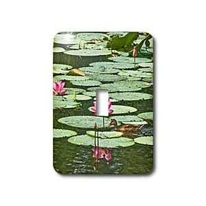 Boehm Photography Flower   Pink Lotus Flowers in water   Light Switch 