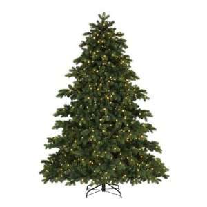  6 Pre Lit Colonial Spruce Artificial Christmas Tree 