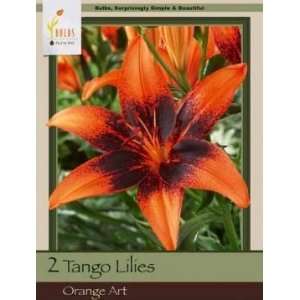  Honeyman Farms Tango Lily Orange Art Pack of 2 Bulbs 